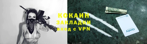 МДПВ Каменногорск