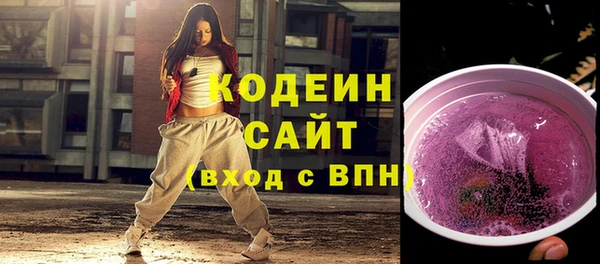 МДПВ Каменногорск
