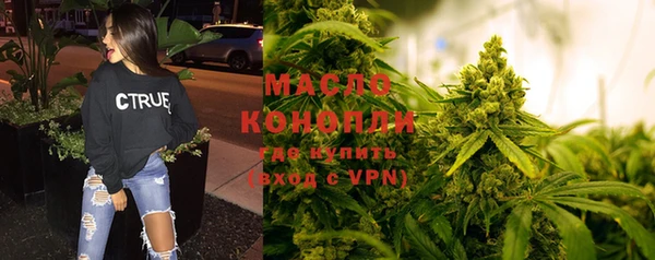 МДПВ Каменногорск