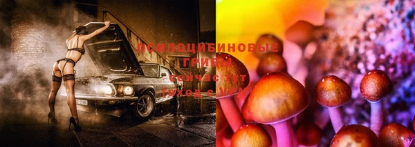 синтетический гашиш Каменка