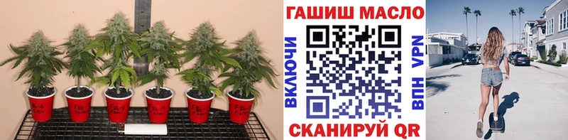ТГК THC oil  Купить  Ефремов 