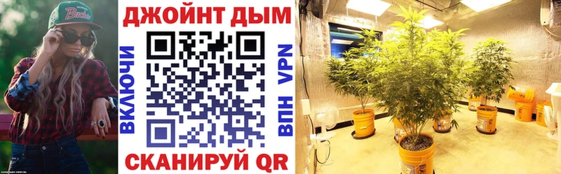 Бошки Шишки Amnesia  Купить  Ефремов 